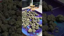 Doc Green Bud Video Thumbnail