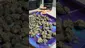 Video Thumbnail: Doc Green Bud