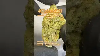 4C Labs: MAC1 (A closer look & Terp breakdown)