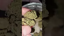 WestPacks420 Video Thumbnail