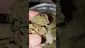 Video Thumbnail: WestPacks420