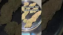 Pain Patient Video Thumbnail