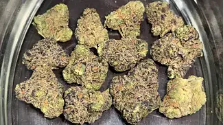 VASCO T28 BLUEBERRY BANANA Minis REVIEW