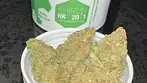 HINDU KUSH by KHIRON 20% THC 1% CBD (UK medical cannabis)