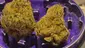 Video Thumbnail: Keep Blazing Stay Amazing
