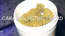 Jack & The Green Talk Video Thumbnail