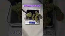 Review Budd Video Thumbnail
