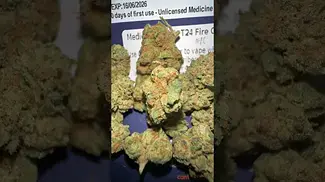 Medicus FC Minis Fire Cookies UK MEDICAL