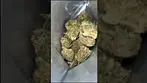 Bonne Nuit Bonbon T28 Buds 1 | UK Medical Cannabis Strain  #ukmedicalcannabis #ukmedical #strain