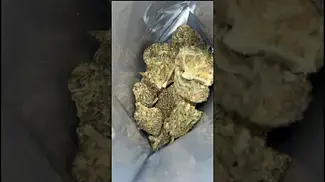 Bonne Nuit Bonbon T28 Buds 1 | UK Medical Cannabis Strain  #ukmedicalcannabis #ukmedical #strain