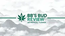BB's Bud Review Video Thumbnail
