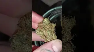 Frosted Cookies by Roxton Air MC #medical #alternaleaf #frosted #cookies #gsc