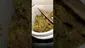 Video Thumbnail: Mary Jane Media 420