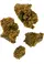 IC T55 Resinous Organic Extract Packaging
