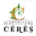 ERB B4S Medication Logo