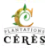 ERB B4S Medication Logo