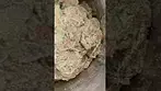 GROW BLACK CHERRY PUNCH ( UK PRESCRIPTION MEDICATION)