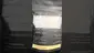Video Thumbnail: Ty’s Terpenes