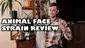 Video Thumbnail: United Patients Alliance