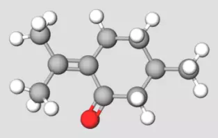 Pulegone Terpene Compound Representation