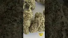 Vinnie's Lounge Video Thumbnail