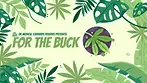 Qwest Bubble Bath 23% UK Medical Cannabis Strain Review 