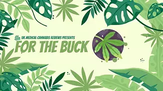 Qwest Bubble Bath 23% UK Medical Cannabis Strain Review 