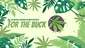Video Thumbnail: For the Buck