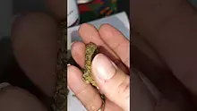 Kady's New Life Video Thumbnail