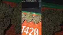 Eazypax420 Video Thumbnail