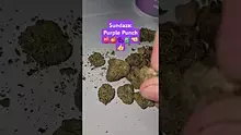 ScottiDunCanna Video Thumbnail