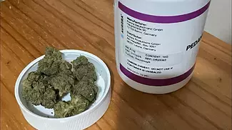 Pedanios Sourdough | UK Medical Cannabis Strain