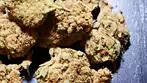 Platinum Garlic  THC 26% CBD 1% Indica Dominant #shorts