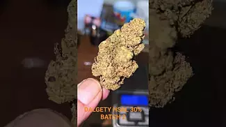 UK MEDICAL FLOWER REVIEW - DALGETY HSAL 30% - 3.7G NUGGET CLOSE UP.
