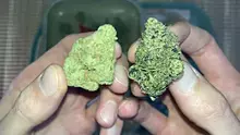 Medical Cannabis Patient Reviews UK Video Thumbnail
