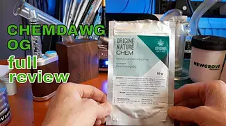 CHEMDAWG OG | Origine Nature & Cantourage | 7.50/g | FULL REVIEW