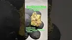 CannFX: Mochi Gelato (A closer look & Terp breakdown)