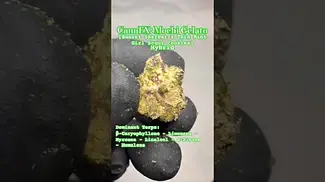CannFX: Mochi Gelato (A closer look & Terp breakdown)