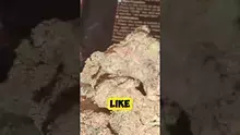 MedCannaBliss Video Thumbnail