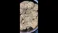 Video Thumbnail: Adz Canna