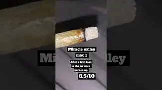 Miracle valley mac 1 in sense stick burn. 