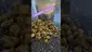 Video Thumbnail: EdTalks420
