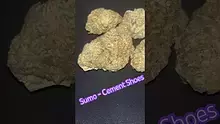 Smokey Mo Video Thumbnail