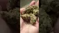 Video Thumbnail: 26wrld