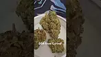 GG4 from Curaleaf UK medical prescription