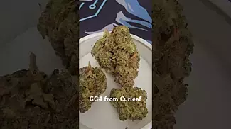 GG4 from Curaleaf UK medical prescription
