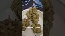 Eazypax420 Video Thumbnail