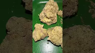 Muzo sudz  #uk #medical #patient #youtubeshorts #flowers