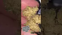 Cannabis Culture  Video Thumbnail