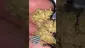 Video Thumbnail: Cannabis Culture 